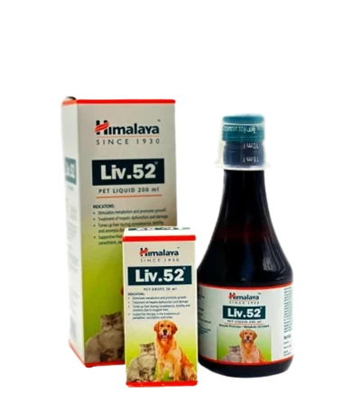 Liv 52 PET