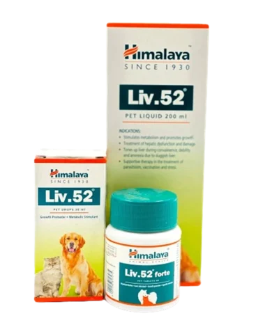 Liv 52 PET