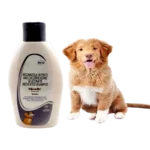 MICODIN SHAMPOO
