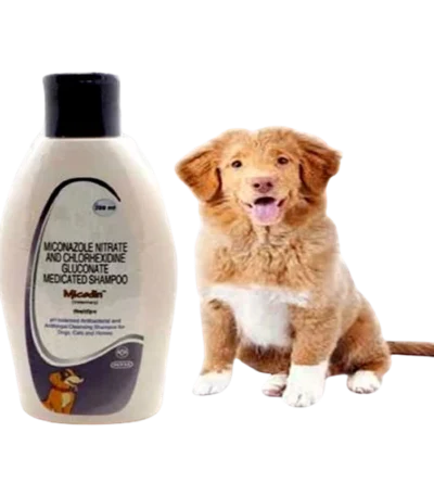 MICODIN SHAMPOO