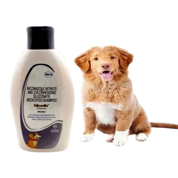 MICODIN SHAMPOO