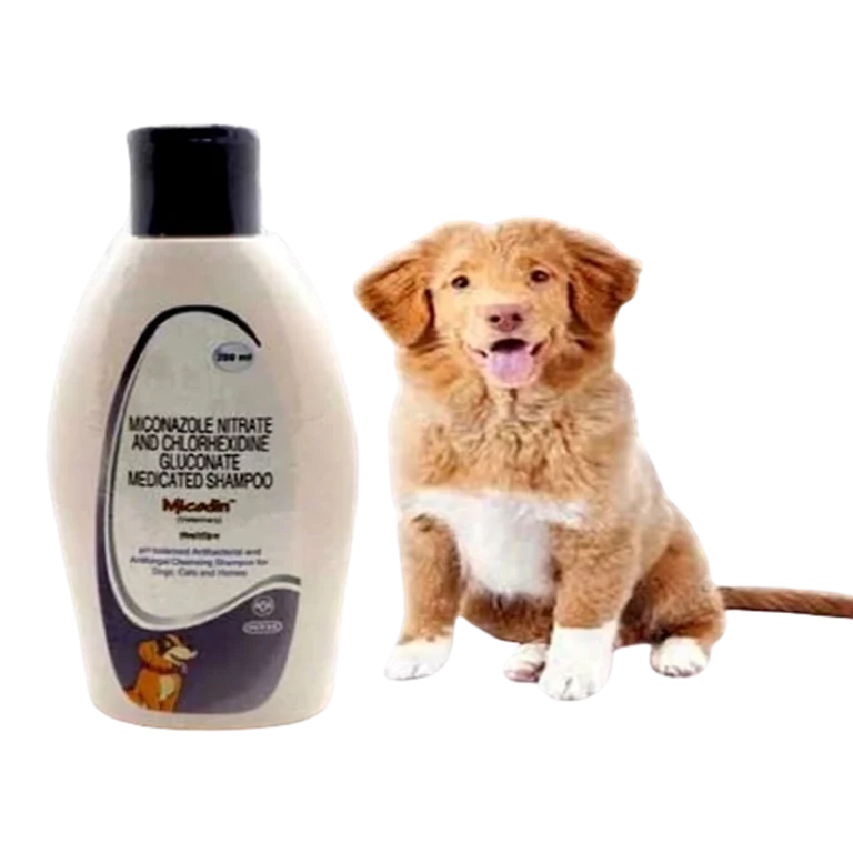 MICODIN SHAMPOO