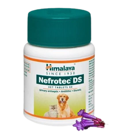 Nefrotec DS