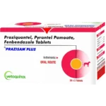 PRAZISAM PLUS