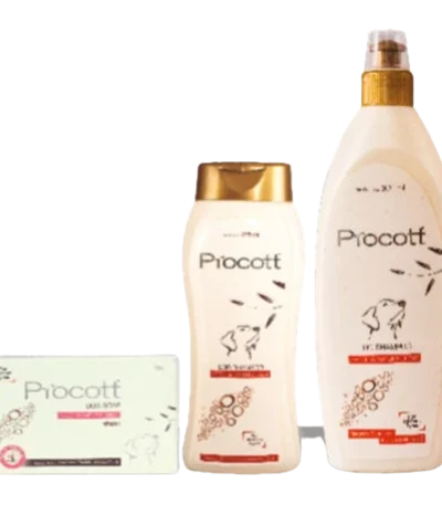Procott