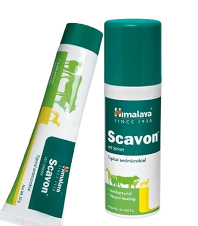 Scavon VET