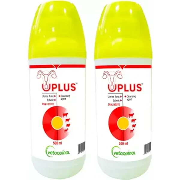 UPLUS