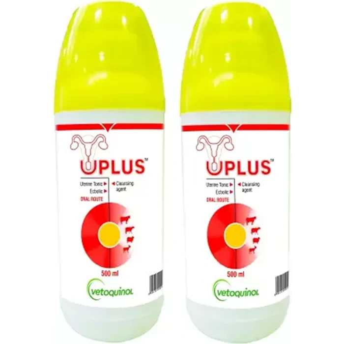 UPLUS