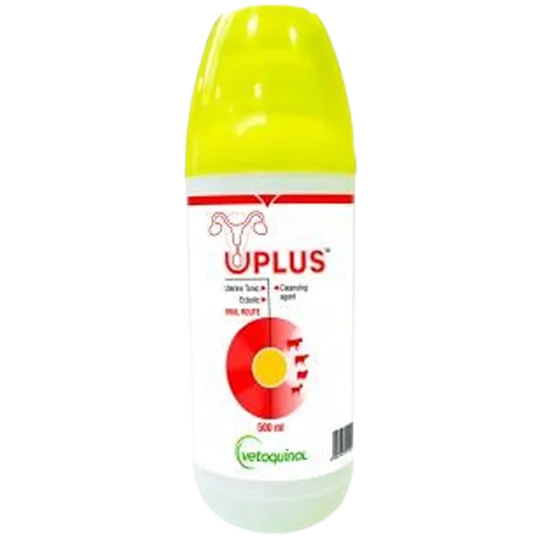 UPLUS