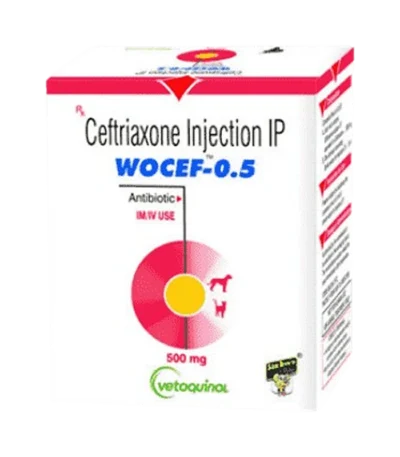 WOCEF-0.5 Injection