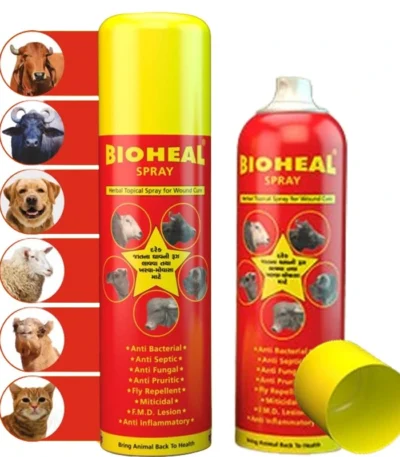 BIOHEAL SPRAY
