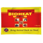 Bioheat Bolus