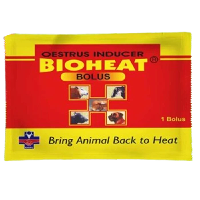 Bioheat Bolus