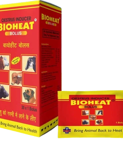 Bioheat Bolus