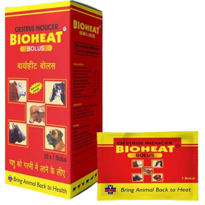 Bioheat Bolus