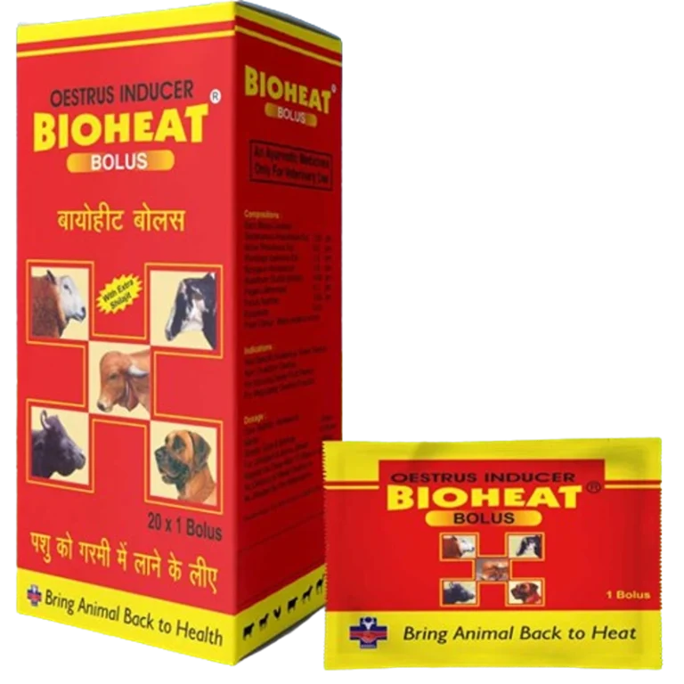 Bioheat Bolus