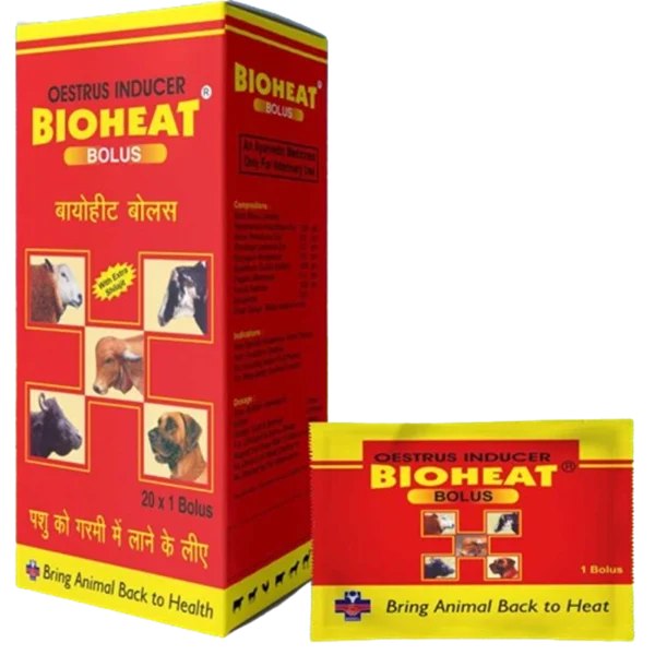 Bioheat Bolus