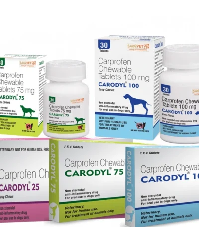 Carodyl