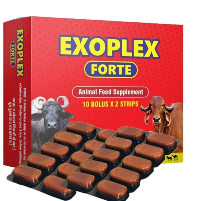 EXOPLEX FORTE