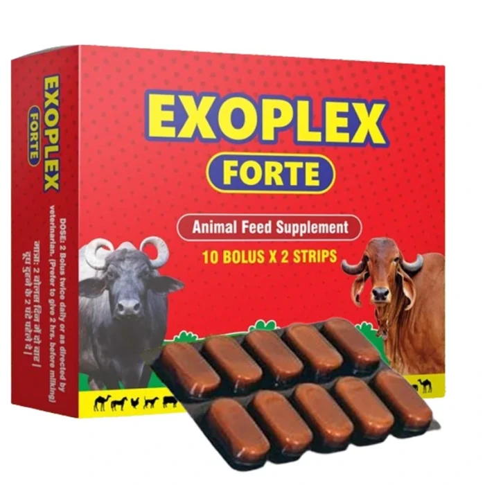 EXOPLEX FORTE