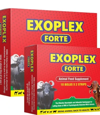 EXOPLEX FORTE