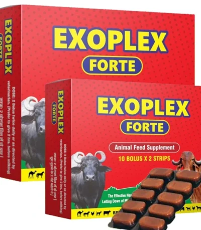 EXOPLEX FORTE