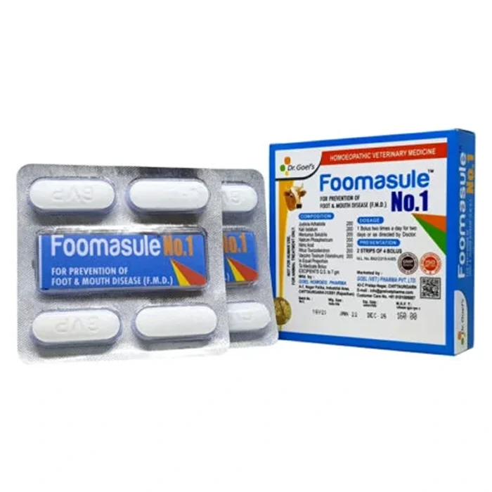 FOOMASULE No. 1