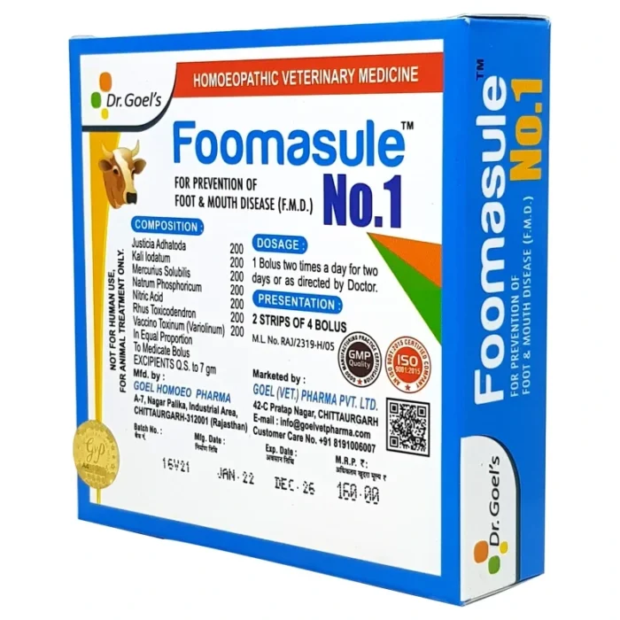 FOOMASULE No. 1