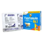 FOOMASULE