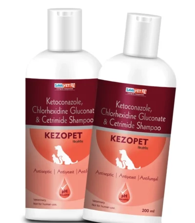 Kezopet