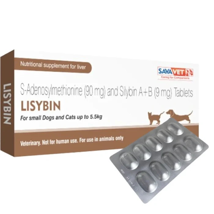 Lisybin