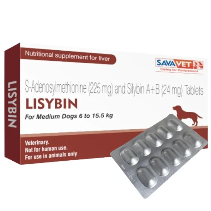 Lisybin