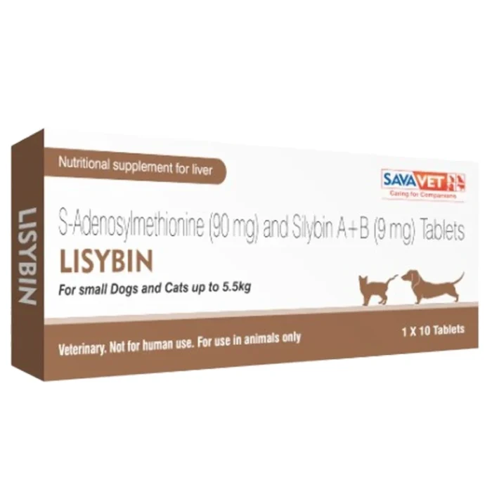 Lisybin