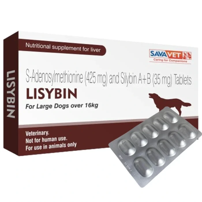 Lisybin