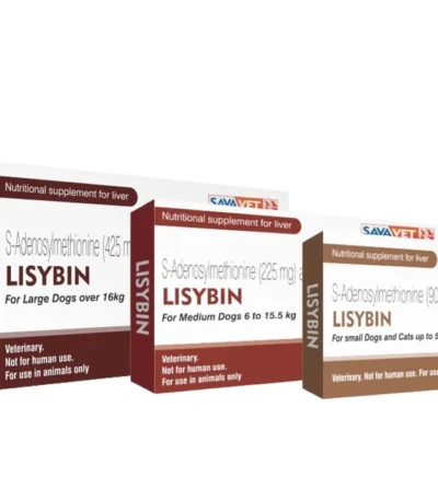 Lisybin