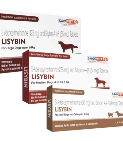 Lisybin