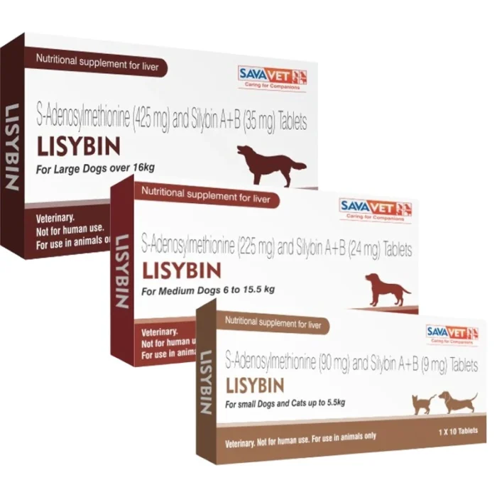 Lisybin