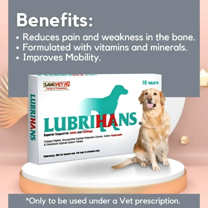 Lubrihans Tablets