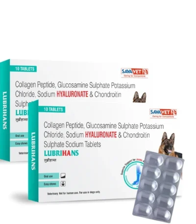 Lubrihans Tablets