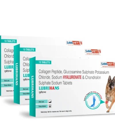 Lubrihans Tablets