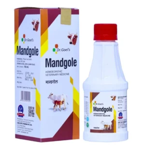 MANDGOLE