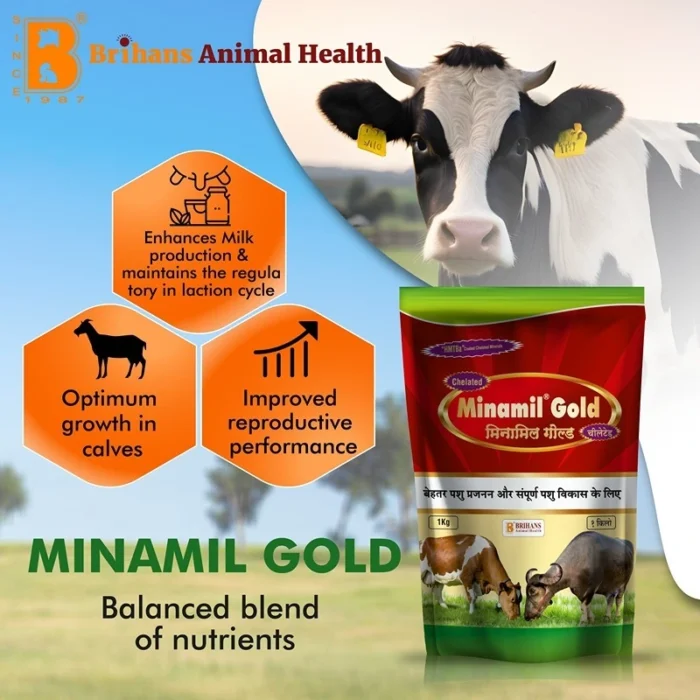 Minamil Gold