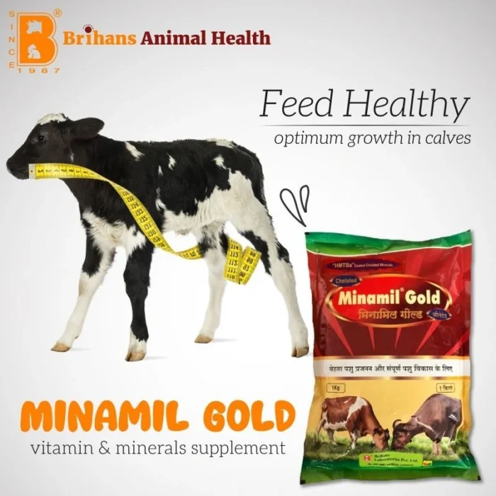 Minamil Gold