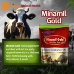 Minamil Gold