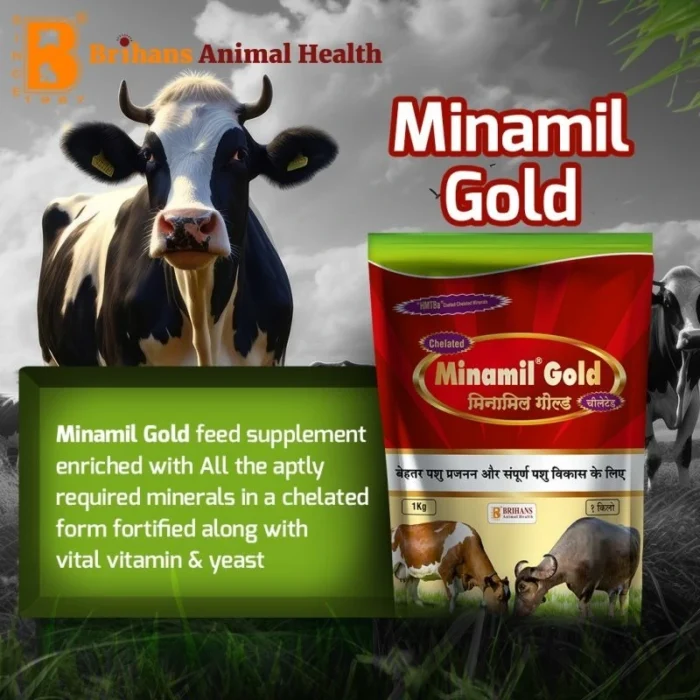 Minamil Gold