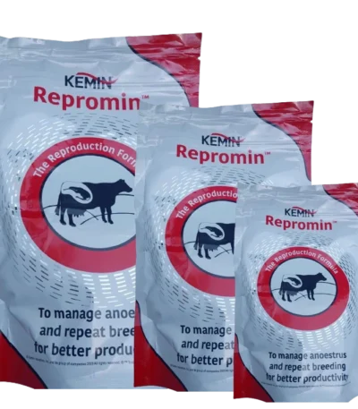 ReproMIN Dry