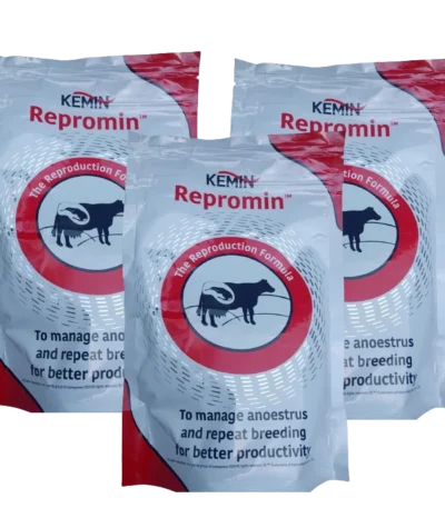 ReproMIN Dry