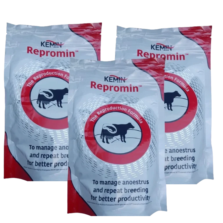 ReproMIN Dry