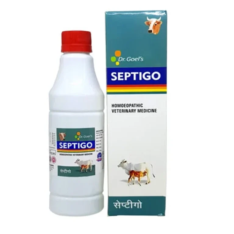 SEPTIGO