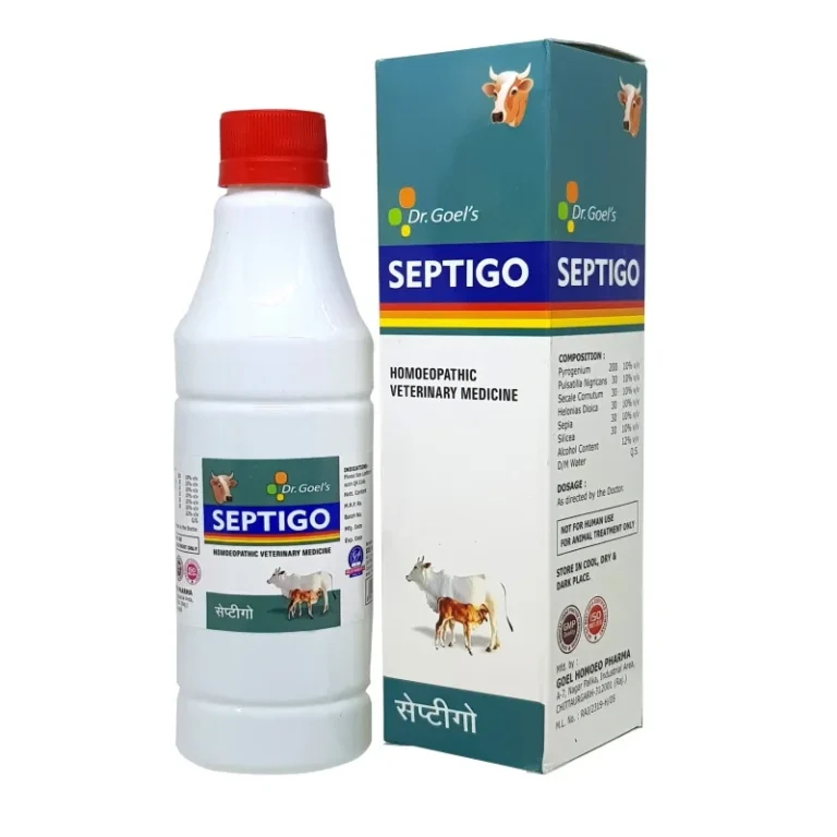 SEPTIGO